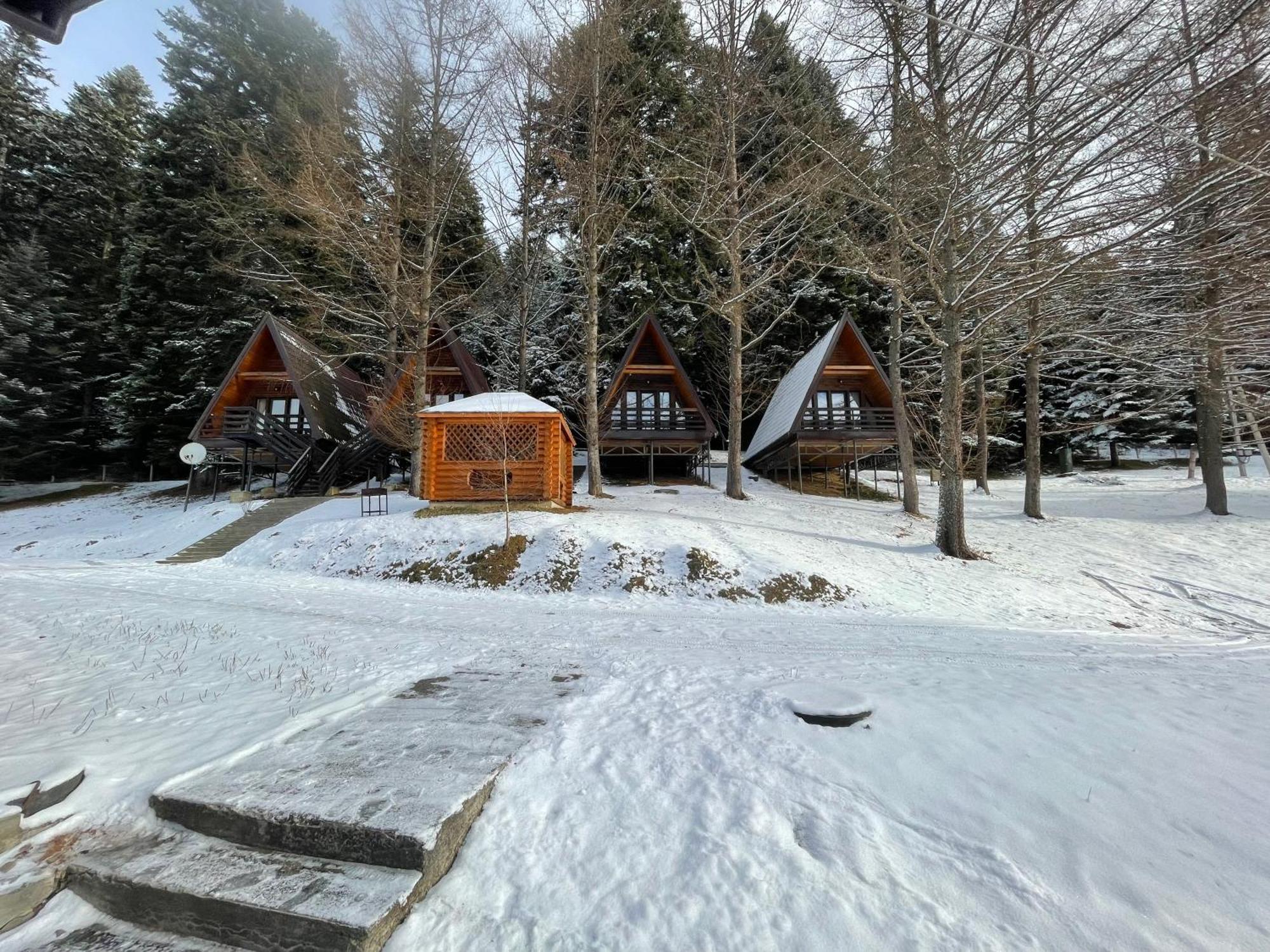 Villa Karpatskyy Rozluch Exterior foto