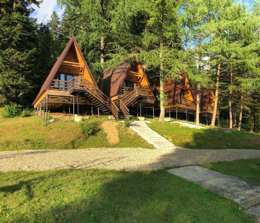 Villa Karpatskyy Rozluch Exterior foto